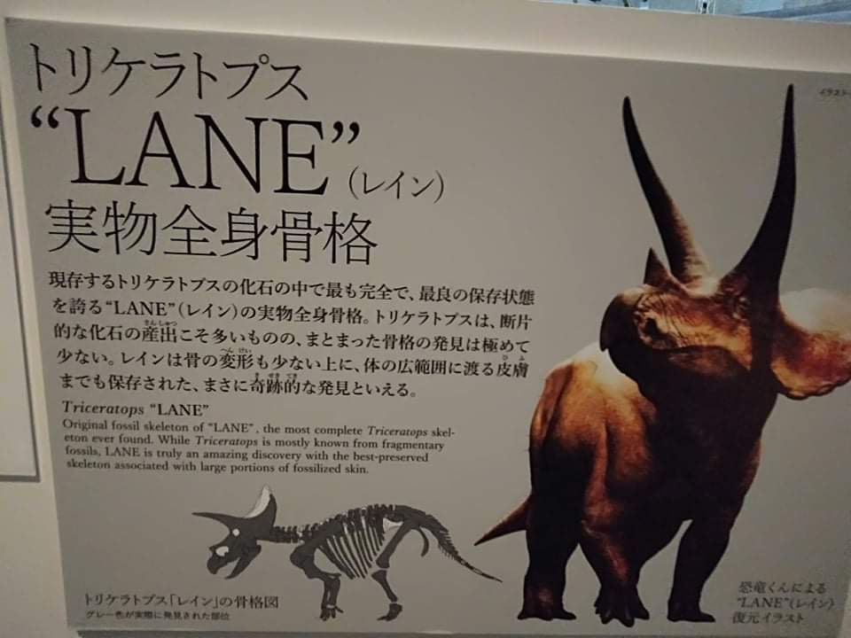 f:id:countstars:20210728194136j:plain