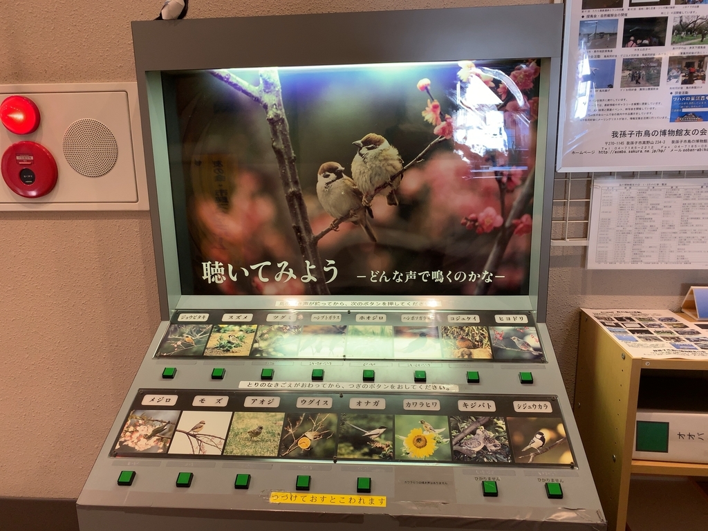 f:id:couple-kabu:20190124231516j:plain f:id:couple-kabu:20190124231516j:plain