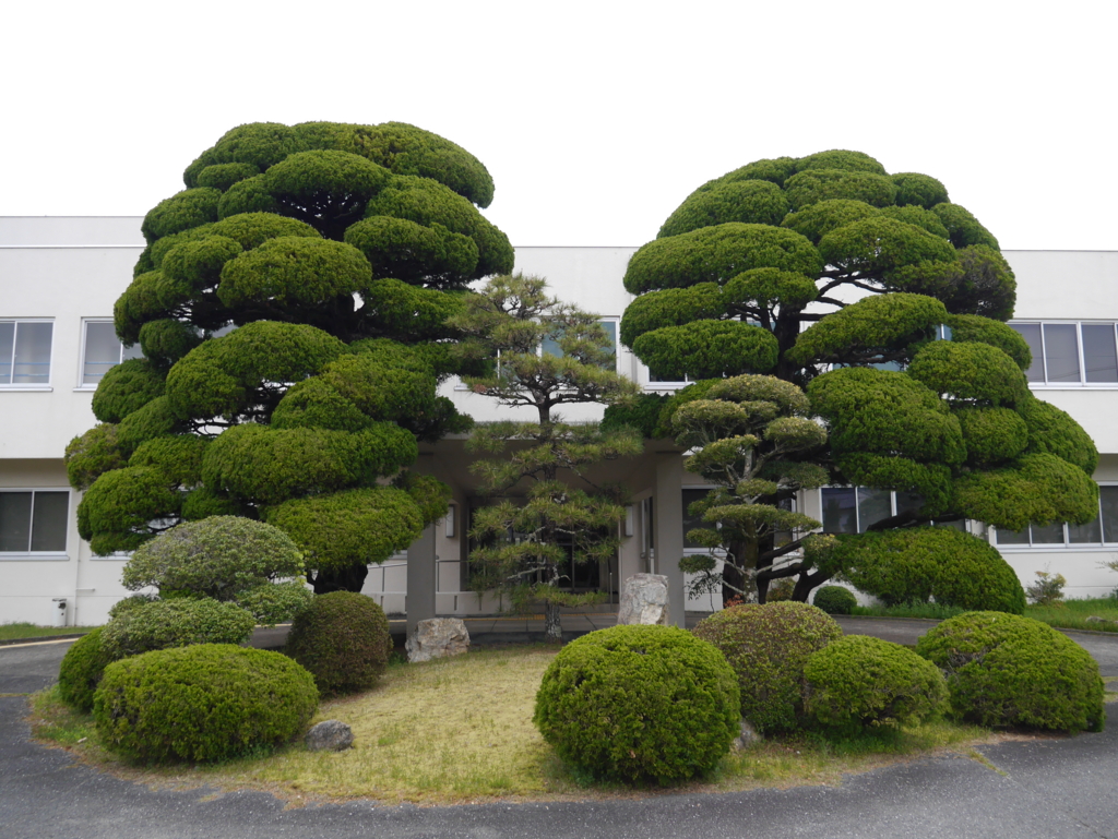 f:id:courthouse:20170526004548j:plain