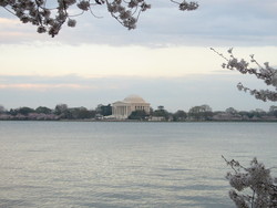 f:id:covacova:20080328180713j:image:right