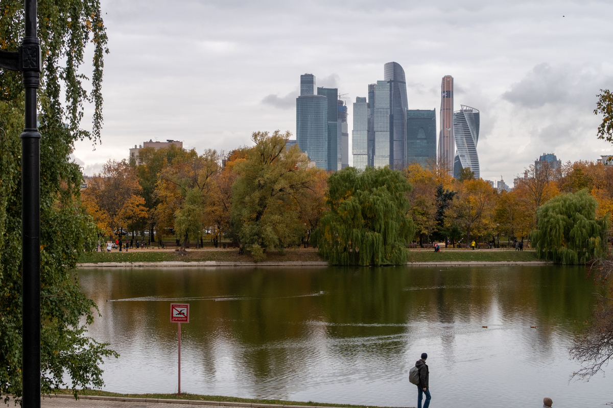 f:id:covacova:20191014071736j:plain:w600