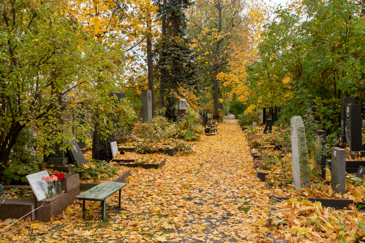 f:id:covacova:20191014072024j:plain:w600