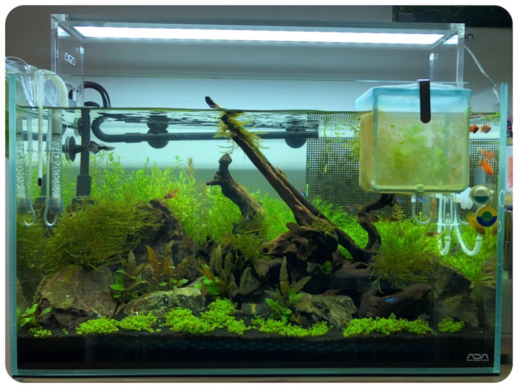 f:id:cover-all:20180512002516j:image