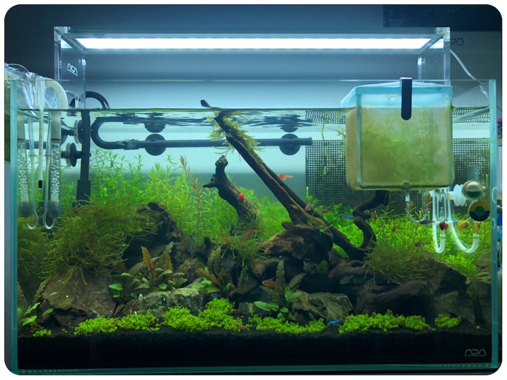 f:id:cover-all:20180514014145j:image