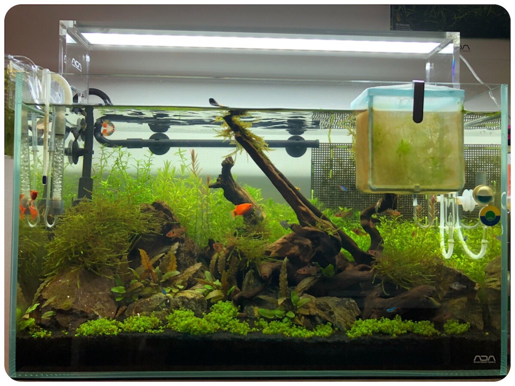 f:id:cover-all:20180515010500j:image