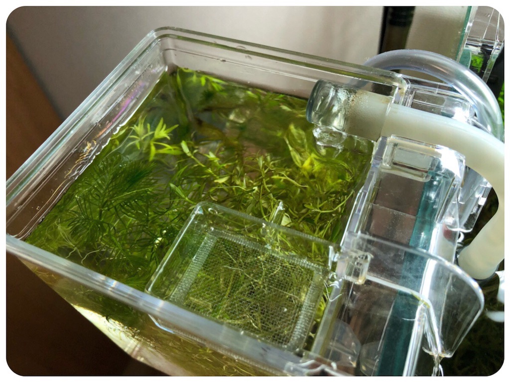 f:id:cover-all:20180515020313j:image