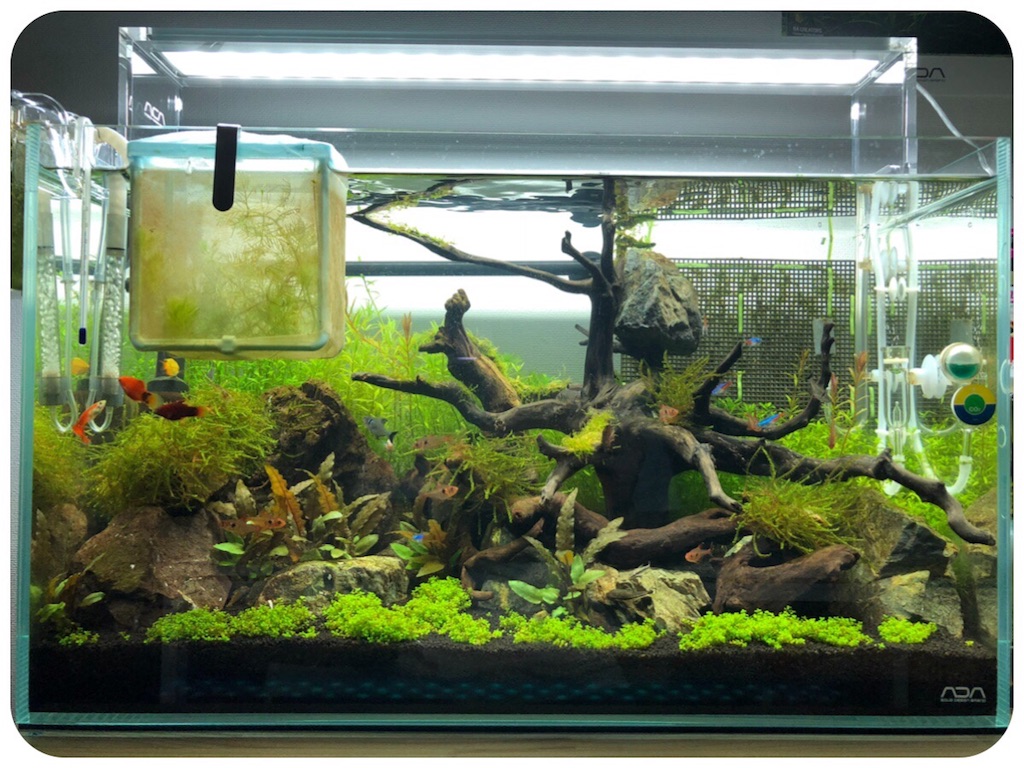 f:id:cover-all:20180517090830j:image