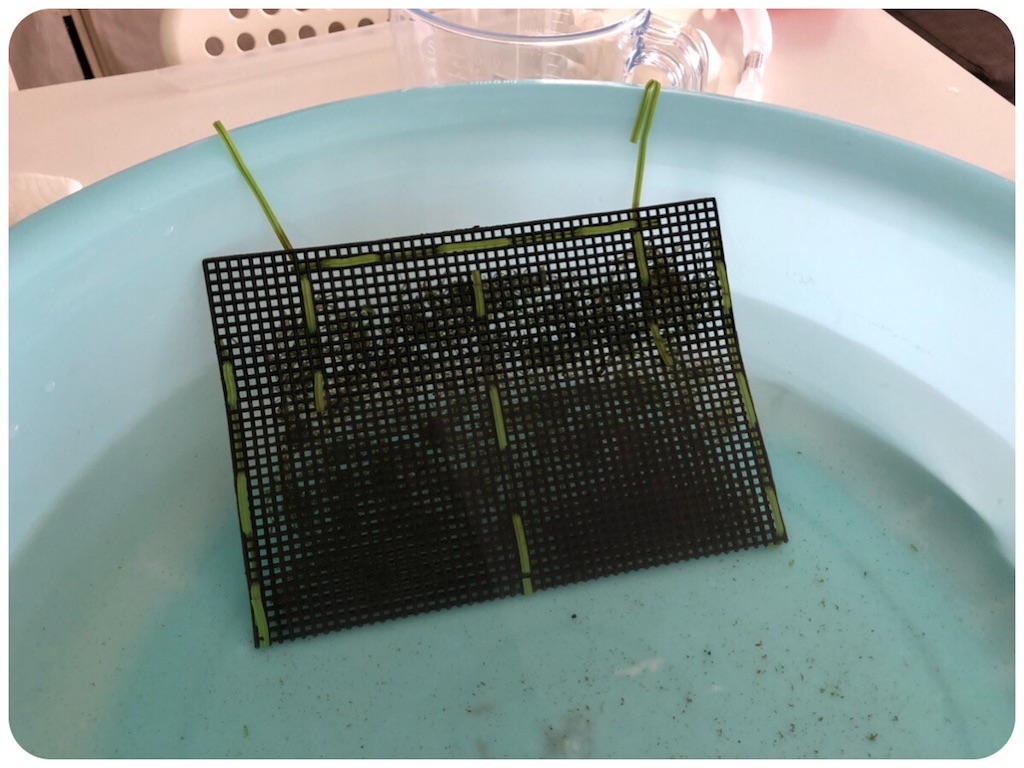 f:id:cover-all:20180517172025j:image