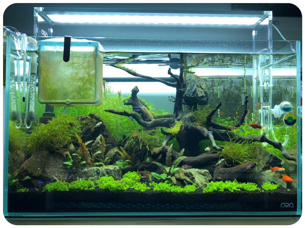 f:id:cover-all:20180518000855j:image