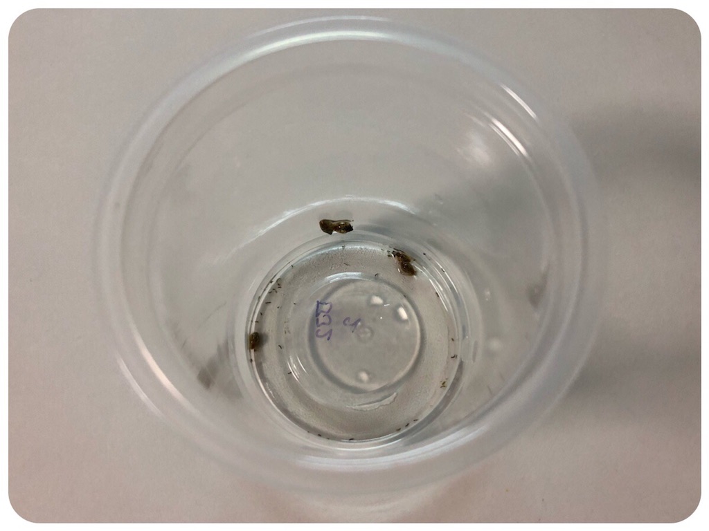 f:id:cover-all:20180531221137j:image