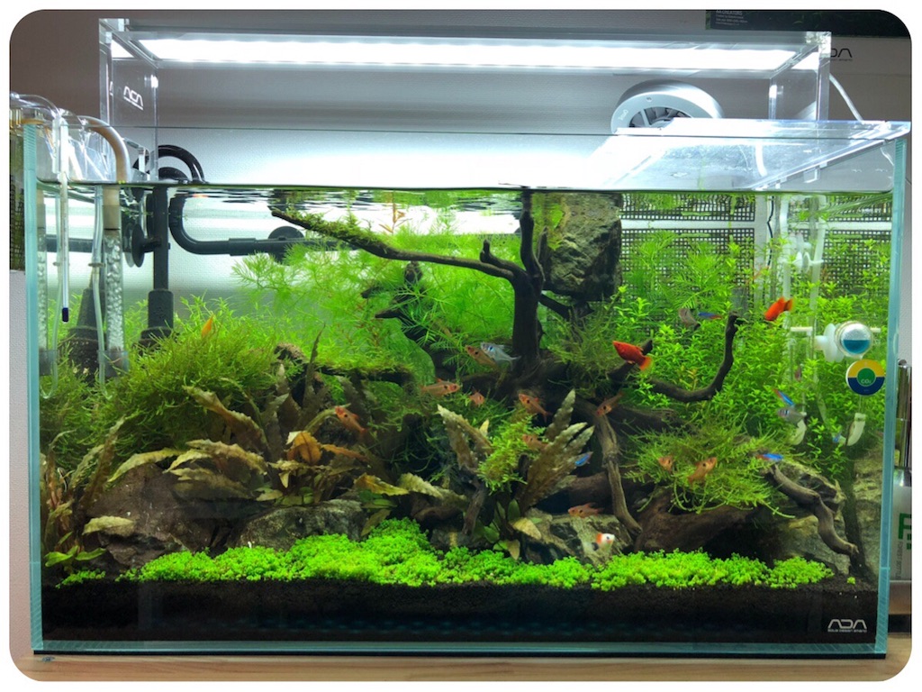 f:id:cover-all:20180611210729j:image