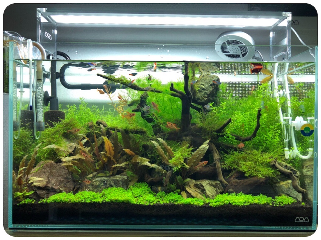 f:id:cover-all:20180614000618j:image