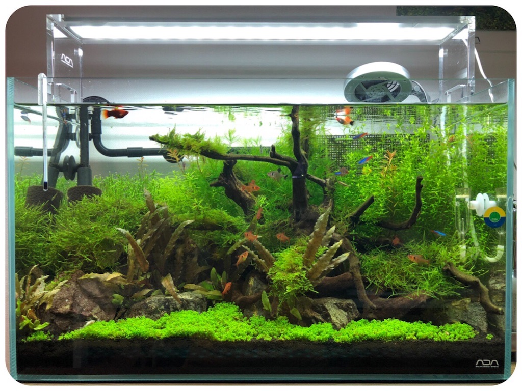 f:id:cover-all:20180706204255j:image