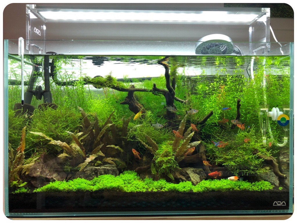 f:id:cover-all:20180706204258j:image