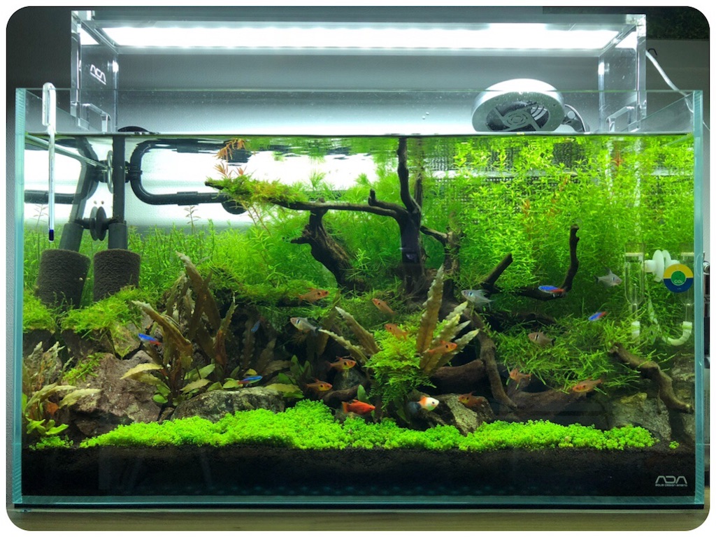 f:id:cover-all:20180709230957j:image