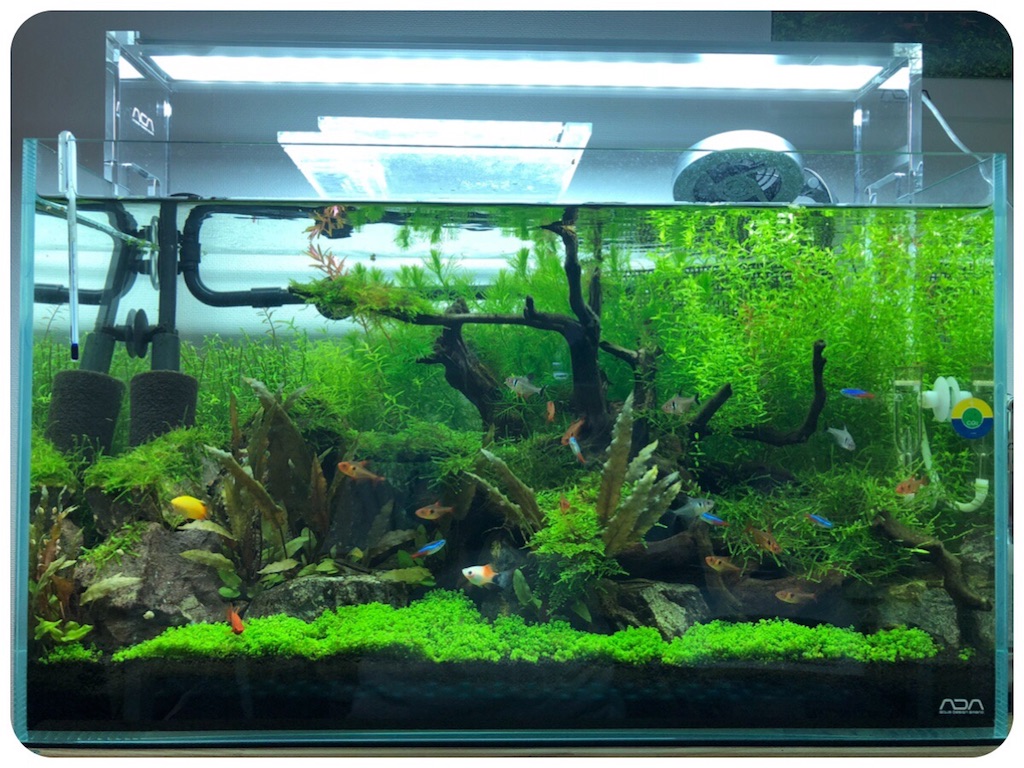 f:id:cover-all:20180711214720j:image