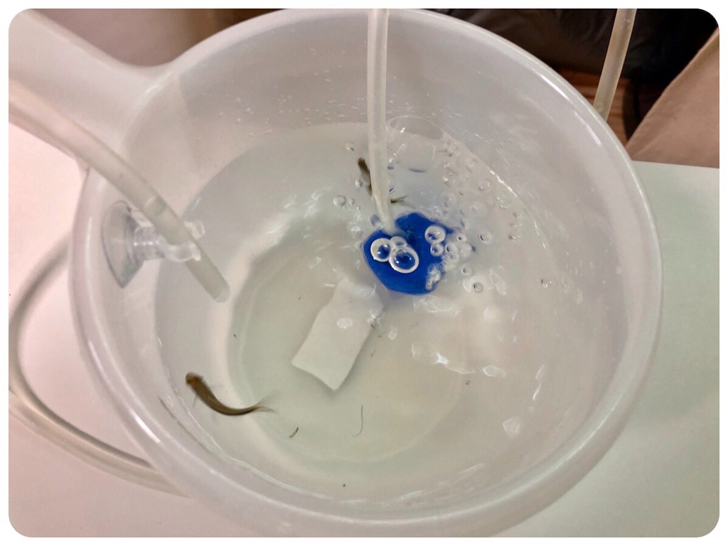 f:id:cover-all:20190410124510j:image