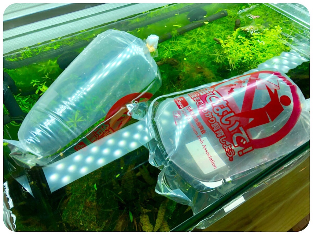 f:id:cover-all:20190410124740j:image