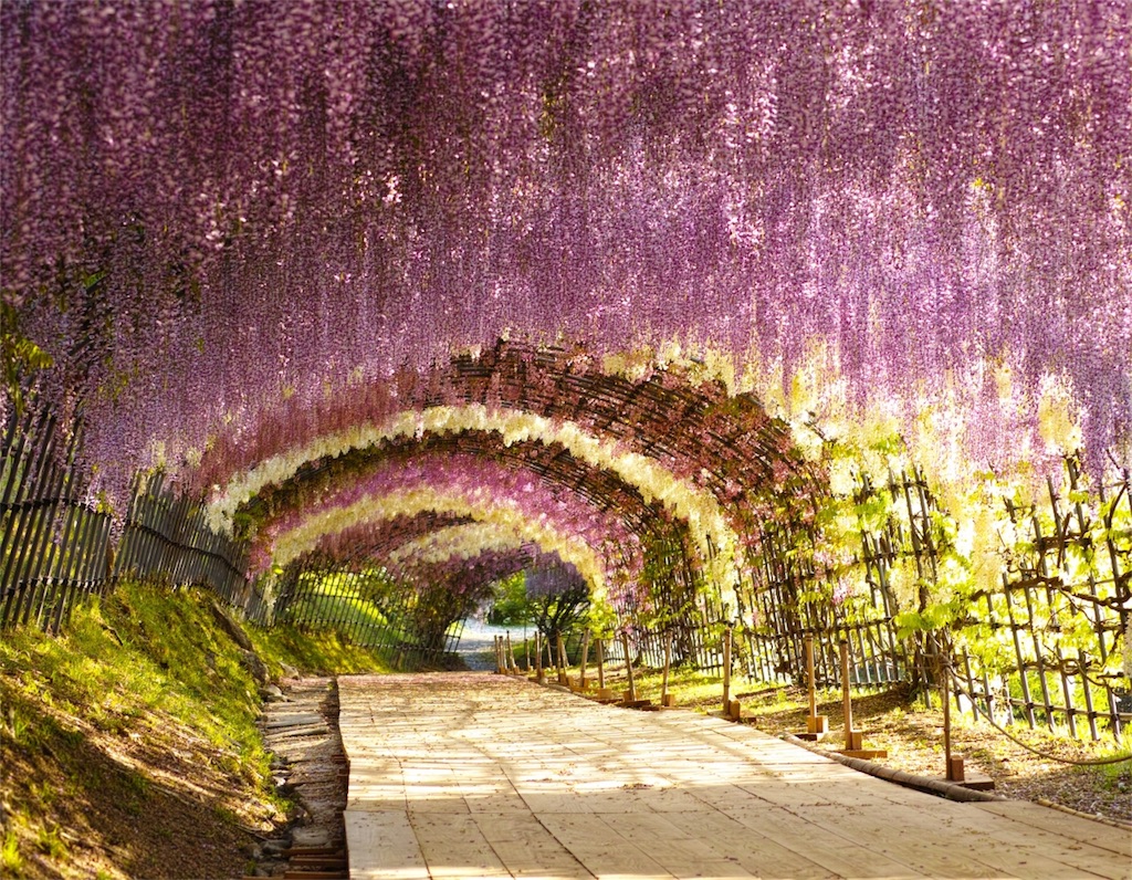 f:id:covory10101101276:20180118113042j:image