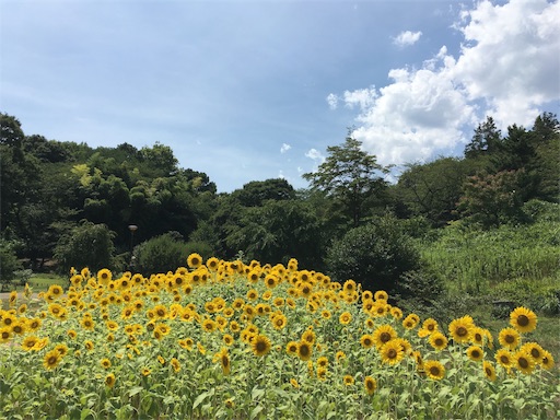 f:id:covtana:20180723202930j:image