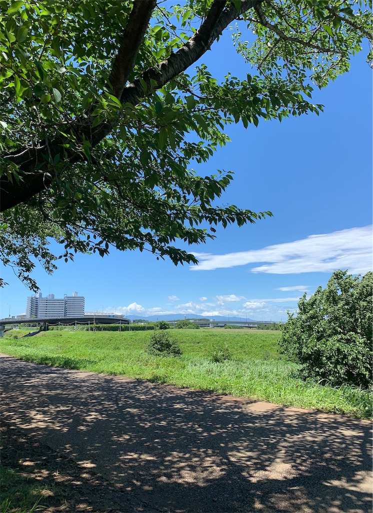f:id:covtana:20190616161615j:image f:id:covtana:20190616161615j:image