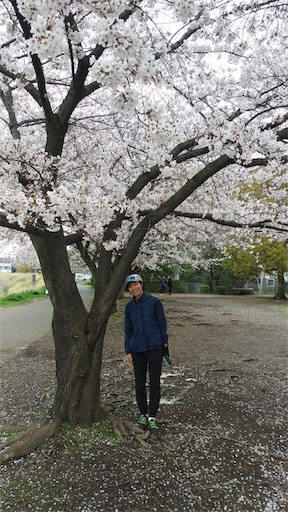 f:id:covtana:20200330211834j:image