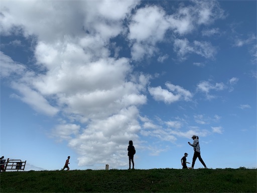 f:id:covtana:20220320181711j:plain