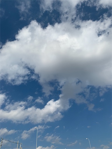 f:id:covtana:20221109155607j:image f:id:covtana:20221109155607j:image