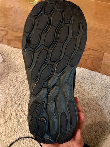 f:id:covtana:20240106190324j:image