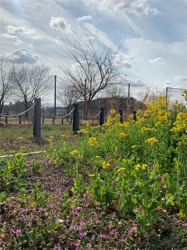 f:id:covtana:20240220174410j:image