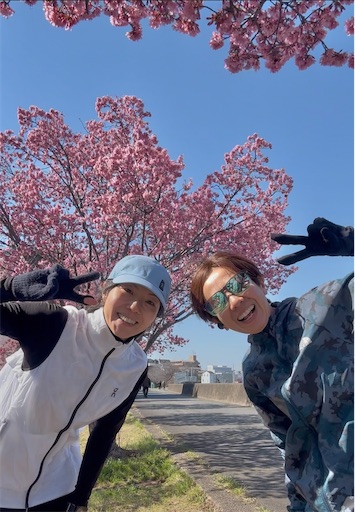 f:id:covtana:20250310210544j:image