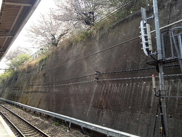 f:id:cowboymasa:20210401145548j:image f:id:cowboymasa:20210401145548j:image