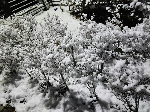 f:id:cowboymasa:20220107085857j:image