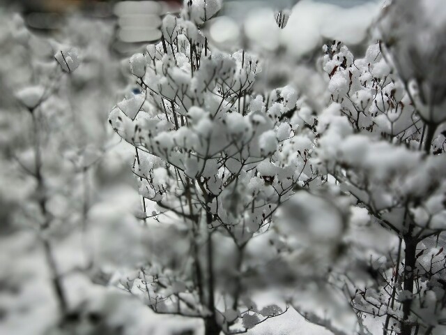 f:id:cowboymasa:20220107085908j:image