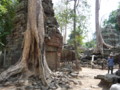 20090410124228