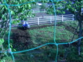 20140501064145