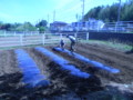 20140511044545