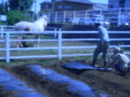 20140511044820