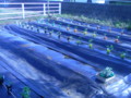 20140511064033