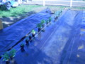 20140511064043