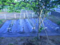 20140511084448