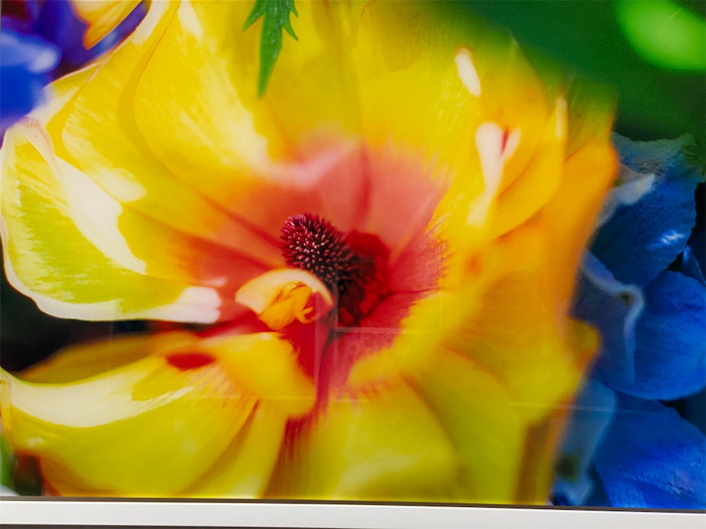 f:id:cozy339:20200805080504j:image