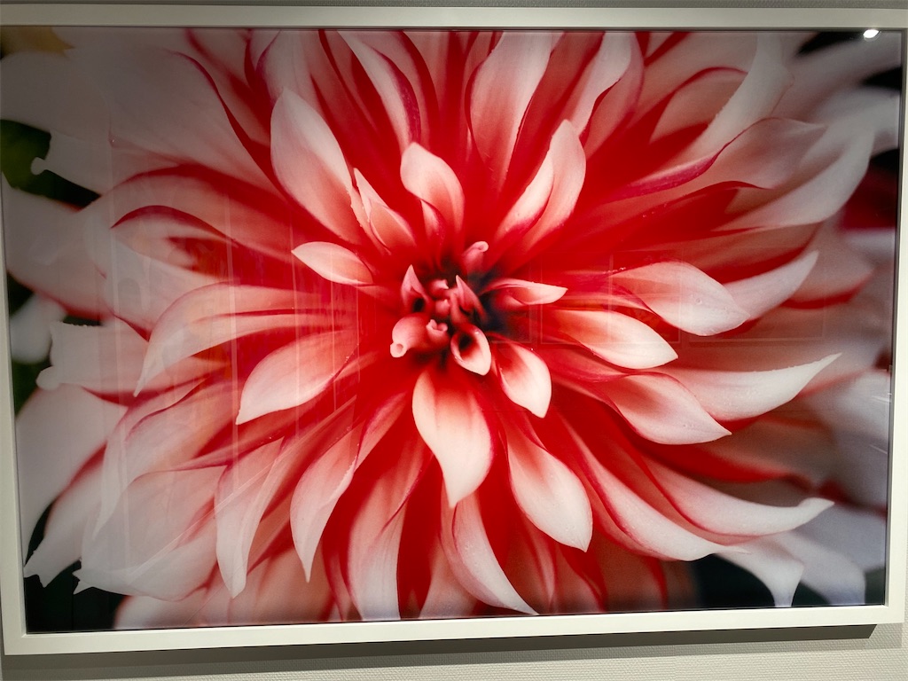 f:id:cozy339:20200805080521j:image