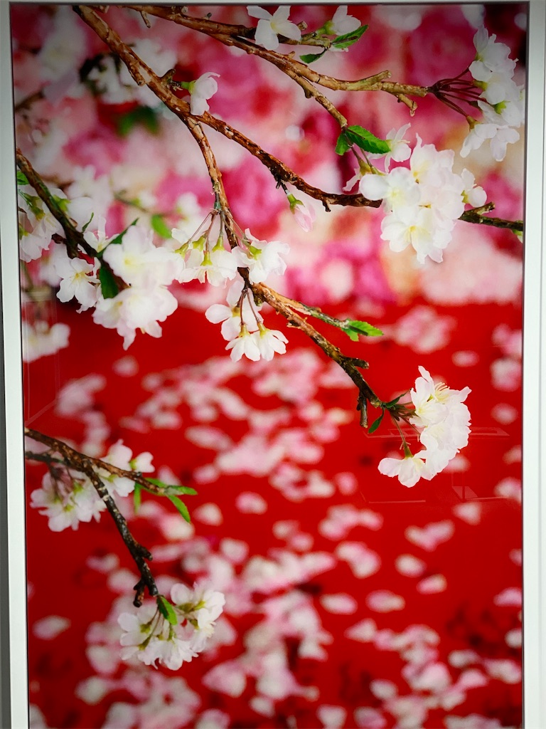 f:id:cozy339:20200805080530j:image