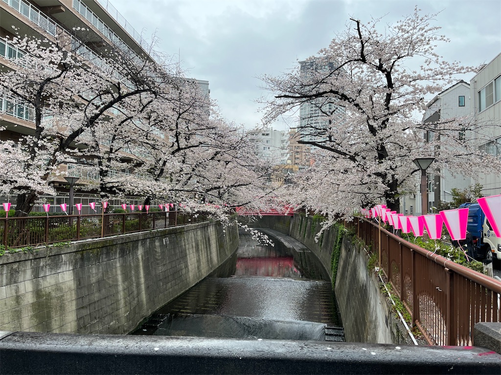 f:id:cozy__1972:20230330061010j:image