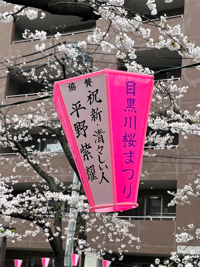 f:id:cozy__1972:20240409063416j:image