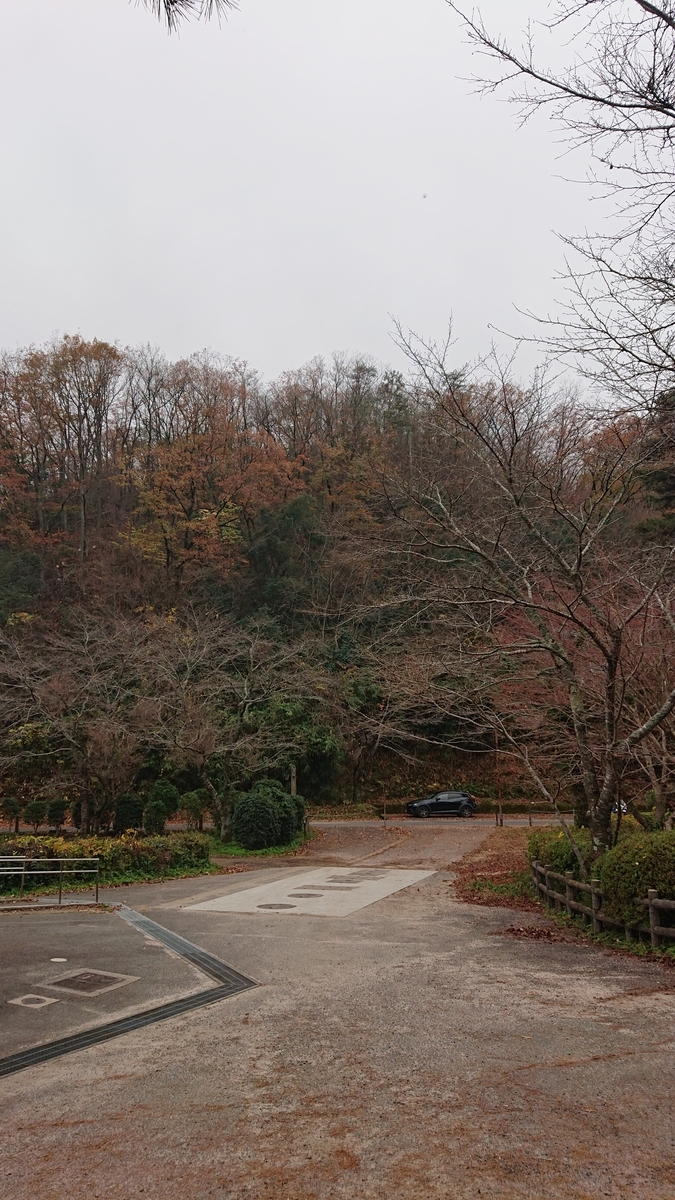 f:id:cozyday:20201123142650j:plain