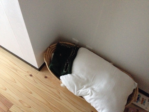 寒くても ラグはいらない 季節外のものを減らして 収納を簡単に Cozy Nest 小さく整う暮らし