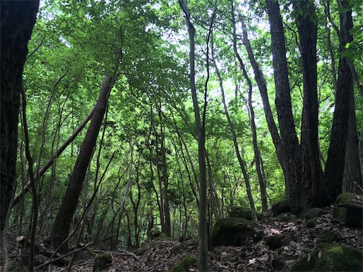 f:id:cozynest:20200819182731j:plain