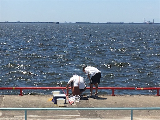 f:id:cozynest:20200819182734j:plain